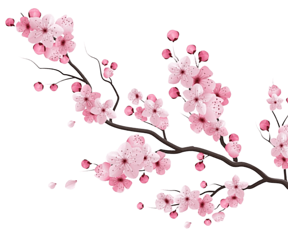 background flower image