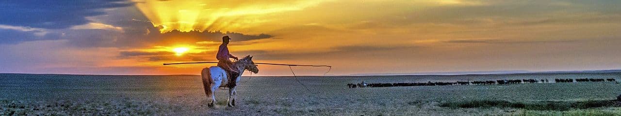 The war you never heard of