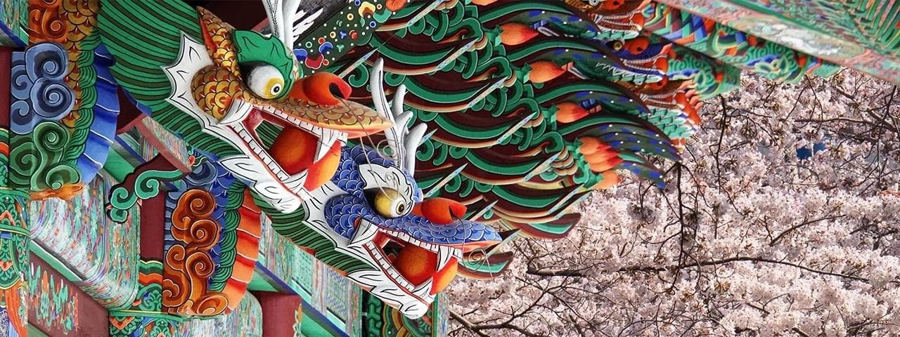 Cherry Blossom Korea and Taiwan