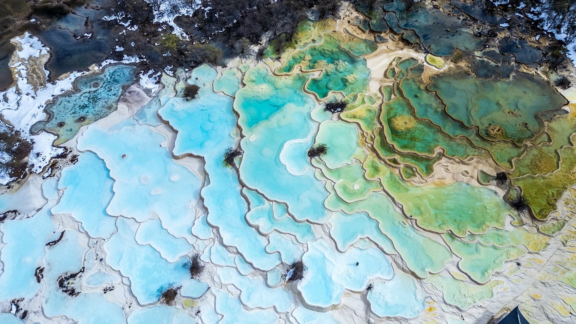 Five Color Ponds at Huanglong Scenic Area in Sichuan, China, showing vivid mineral pools in shades of turquoise, green, and gold.