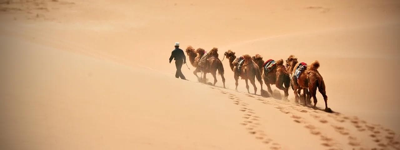 Chinese Muslims: Hui and Uyghur people