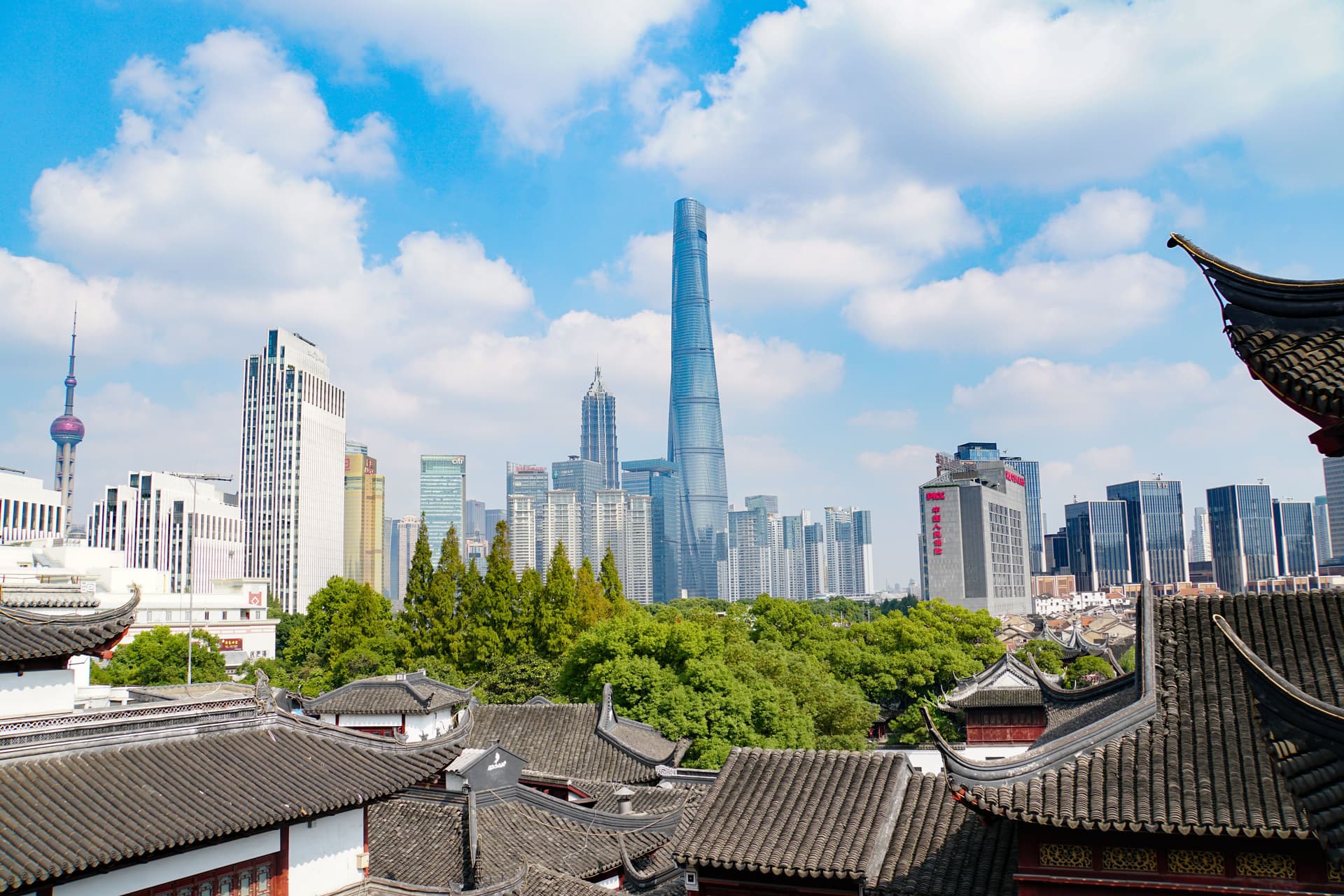Shanghai skyline with the Shanghai Tower rising above modern skyscrapers, viewed over traditional tiled rooftops and green trees.