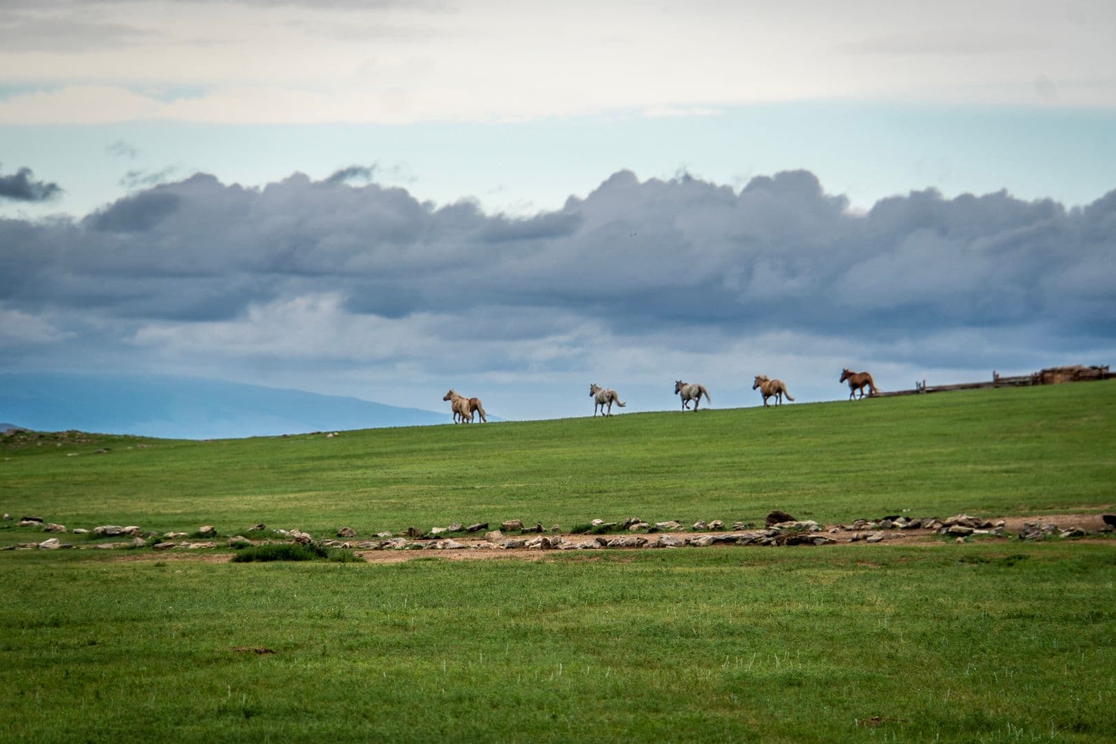 Horse Breeder's Paradise