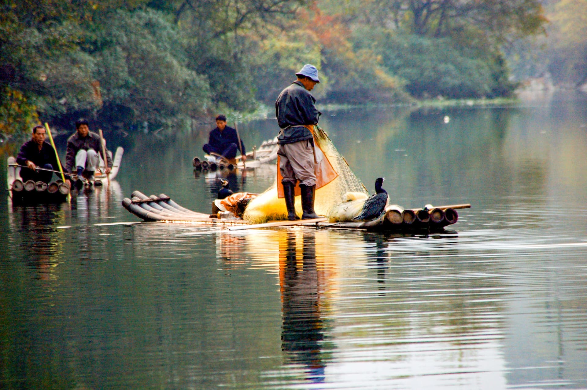 Cormorant fisherman in China standing on a bamboo raft on a calm river, holding a net, with trained cormorant birds and other rafts in the background.