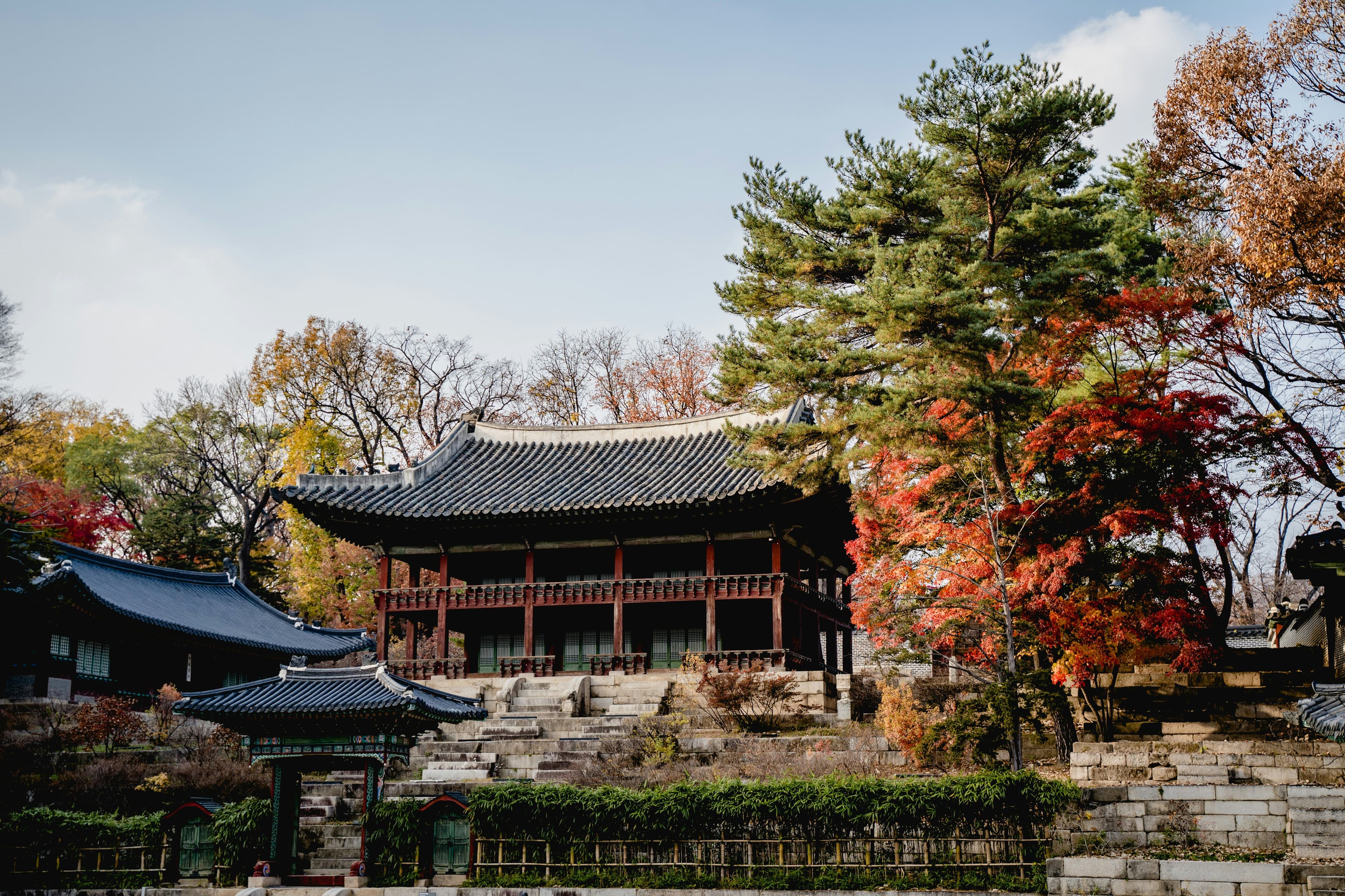Korean Autumn Walking Tour