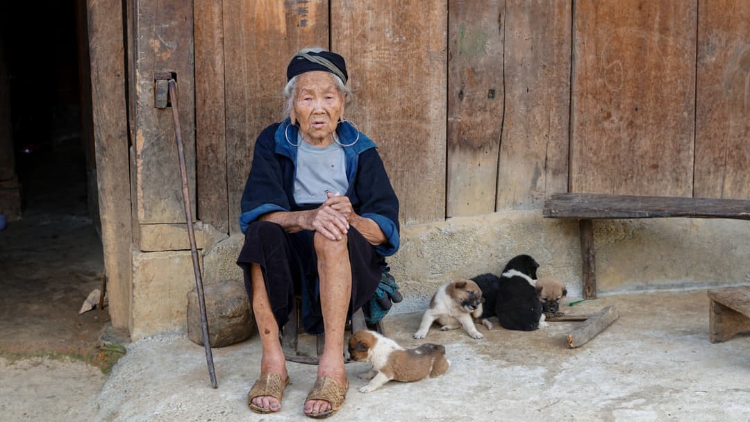 Old lady with pups, Vietnam